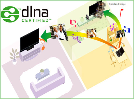 DLNA 